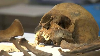 Centenaire de 14-18 : le défi de l'identification des soldats de Verdun