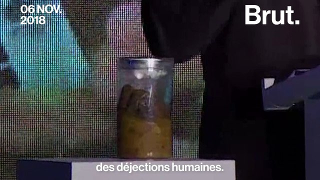 Dans les pays en développement, le manque de toilettes tue