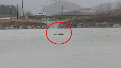 보령 해안 다리에서 밀물에 SUV 차량 침수 / YTN