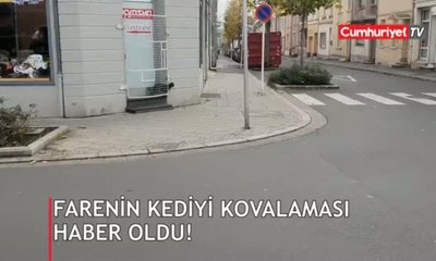 Farenin kediyi kovalaması haber oldu!
