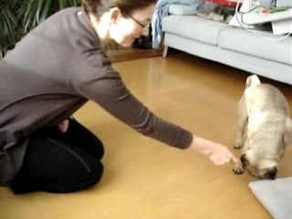 Fergus Roulé Boulé