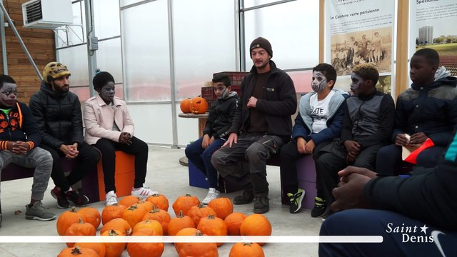 Atelier Citrouilles à la ferme urbaine de Saint-Denis