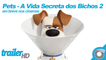 Pets - A Vida Secreta dos Bichos 2 - Trailer Oficial Dublado