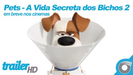 Download Video: Pets - A Vida Secreta dos Bichos 2 - Trailer Oficial Dublado