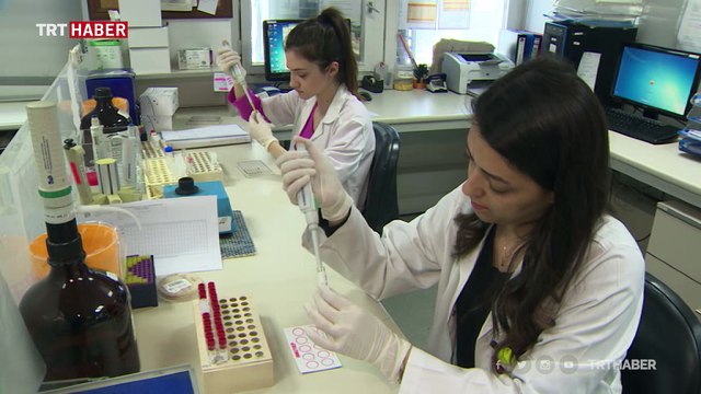 Ekonomik İşbirliği ve Kalkınma Teşkilatından dirençli bakteri uyarısı