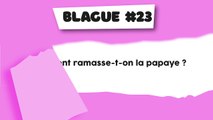 Blague #23 : Culture de la papaye