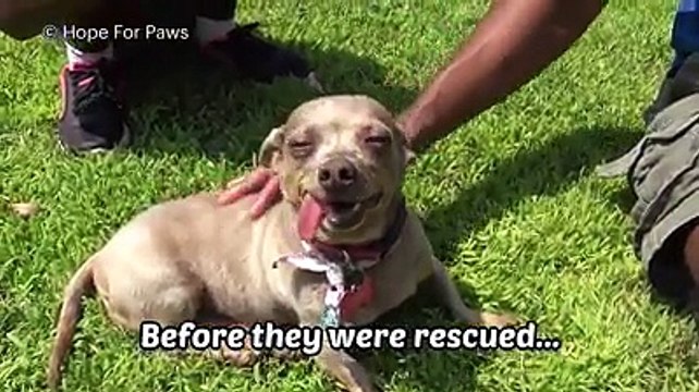 Faith in humanity restored Credit: