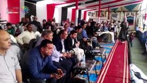 مشاركة 132 حصانًا بمهرجان الخيول العربية فى يومه الثاني