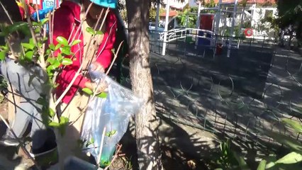 Köyceğiz’de “Temiz Çevrem” kampanyası