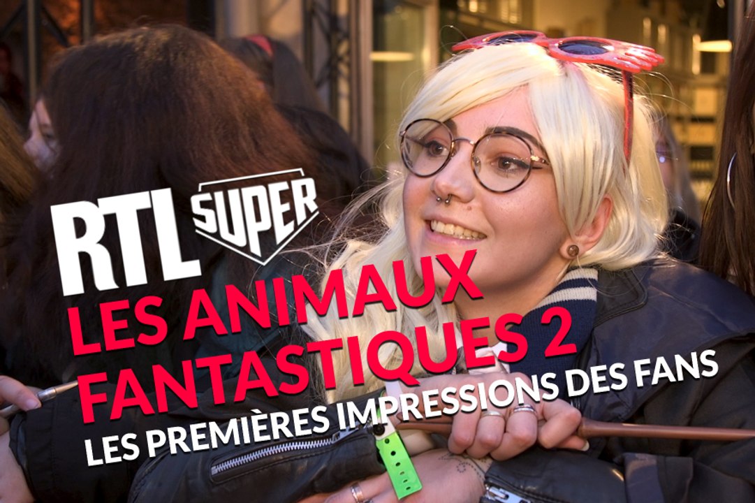 "Les Animaux Fantastiques 2" : les premières impressions des fans