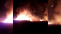 Mogan Gölü kıyısında sazlık yangını - ANKARA