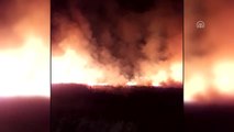 Mogan Gölü Kıyısında Sazlık Yangını