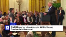 CNN Reporter Jim Acosta's White House Credentials Removed