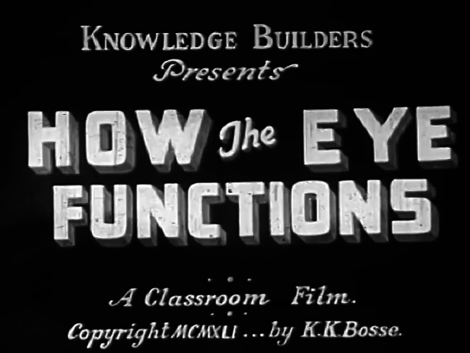 How Eyes Work: "How the Eye Functions" 1941 Knowledge Builders; Eye Anatomy & Vision