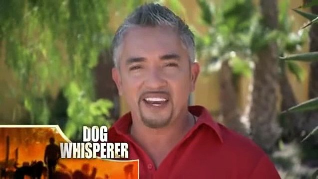 Dog Whisperer With Cesar Millan S07E09