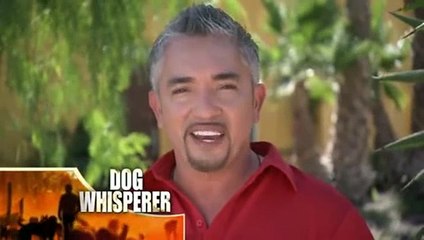 Dog Whisperer With Cesar Millan S07E09