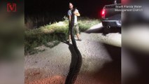 Record-Setting Burmese Python Captured in Florida