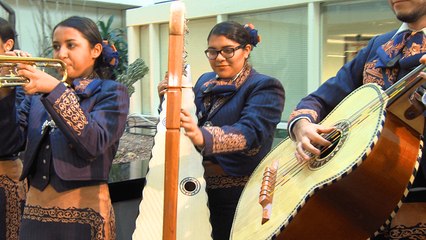 Don't Miss the Phoenix Mariachi Festival