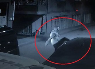 Terör Estirdi: Tekme Atıp, Ateş Açtı