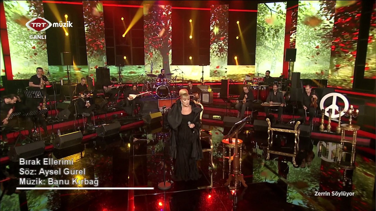 ZERRIN OZER - BIRAK ELLERIMI