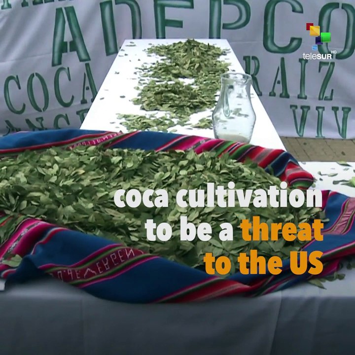 US Critizices Bolivia’s Coca Cultivation