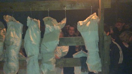 La Fura la furieuse de retour à Art Rock