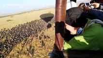 Tourists get stunning view of wildebeest herds from hot air balloon