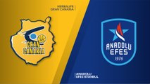 Herbalife Gran Canaria - Anadolu Efes Istanbul Highlights | Turkish Airlines EuroLeague RS Round 6