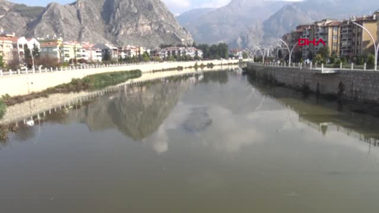 Amasya Yeşilırmak'ta Toplu Balık Ölümleri Araştırılıyor