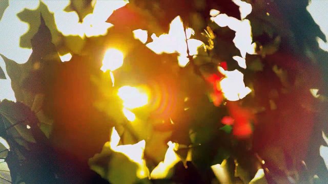 A vendre - Appartement - Choëx (1871) - 5.5 pièces - 138m²