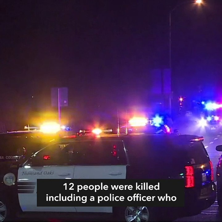 Marine combat veteran kills 12 in crowded California bar