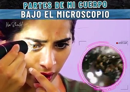 Partes de mi cuerpo bajo el microscopio. Badabun. Partes de mi cuerpo bajo el microscopio. Badabun.