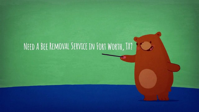 OCP Bee Removal in Fort Worth TX | 682-204-4699