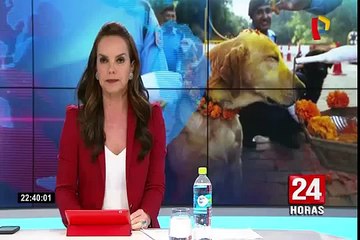 Nepal celebra el festival “Tihar” dedicado a los perros