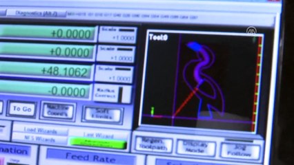 Kuş Cenneti'nin kuşları oyuncaklara ilham oldu - SAMSUN