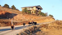 'Akdeniz'in Sibiryası' sonbahar renkleriyle ısıtıyor - KAHRAMANMARAŞ !...haberi eksik...!