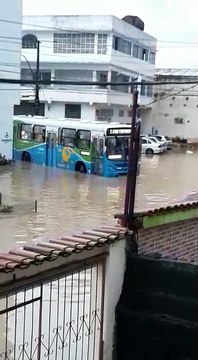 Ônibus do Transcol tenta passar no bairro Jardim Marilândia, em Vila Velha