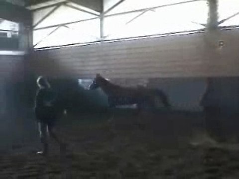 Inset saut en liberté