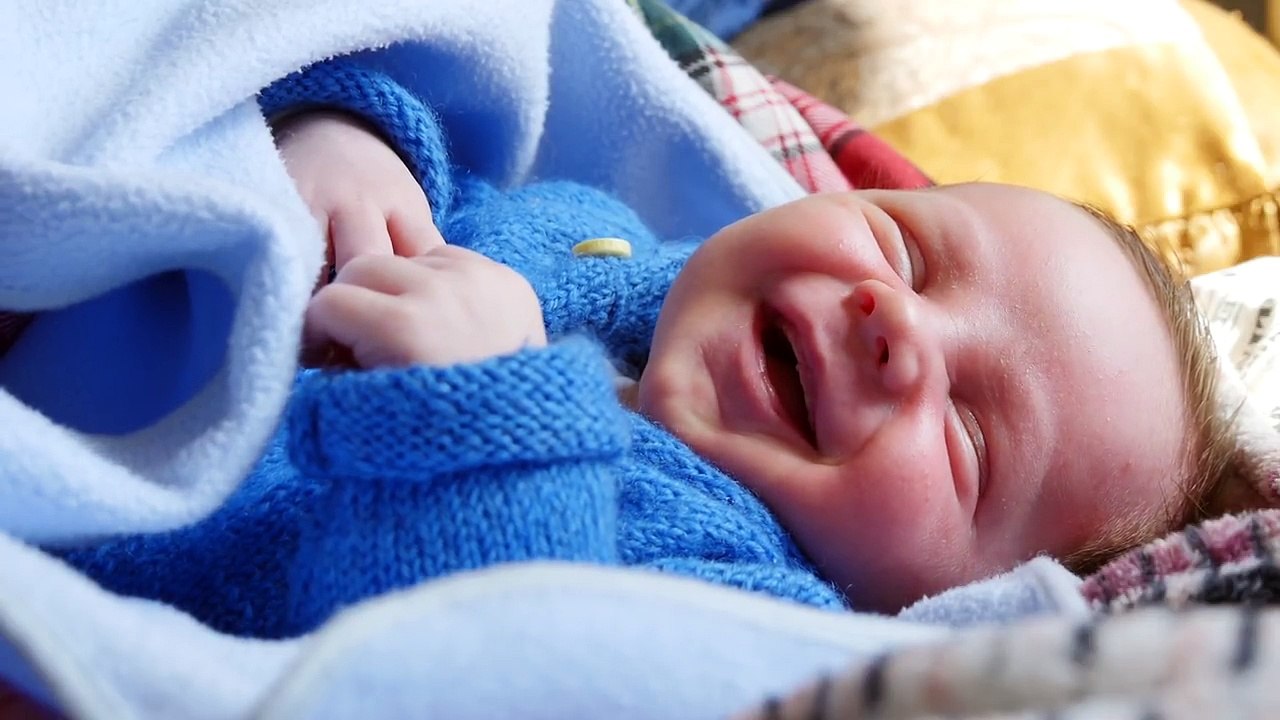 Canım Bambam'ım - Sevda Şengüler _ Bizim Ninniler