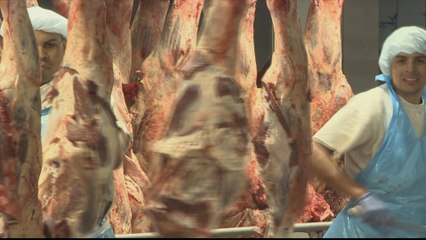 Argentina’s beef industry defies economic downturn