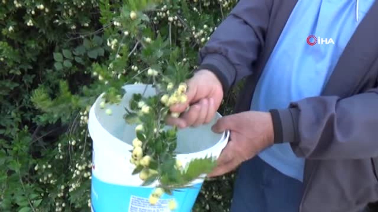 30 Yıl Önce Köye Gelen Öğretmen Hayatlarını Değiştirdi