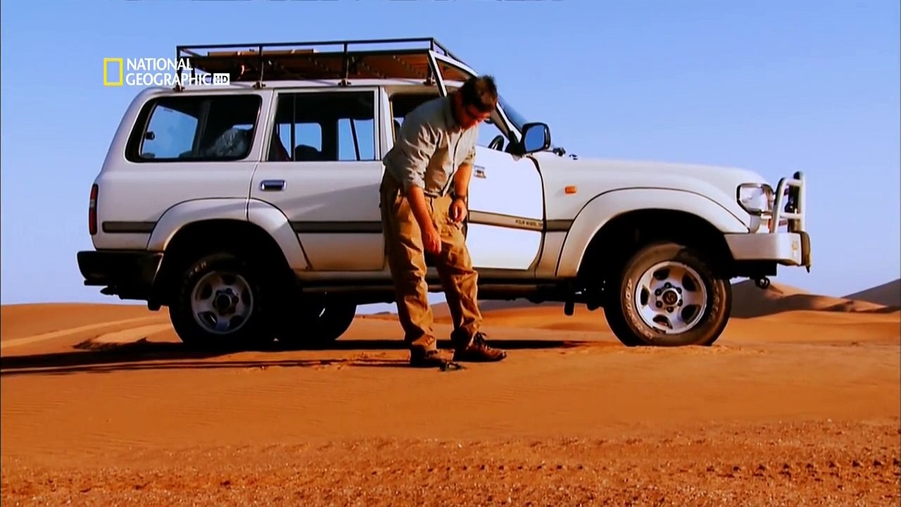 Thế Giới Động Vật - Những Kẻ Săn Mồi Nguy Hiểm Nhất Hành Tinh (Phần 3)