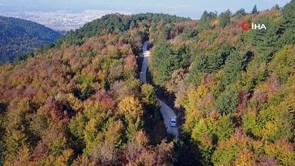 Şehrin içinde çağlayan güzellik