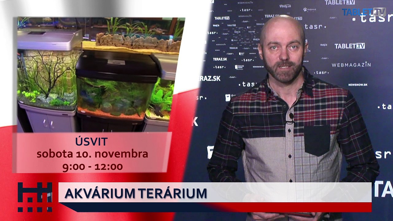 POĎ VON: Akvárium terárium a Deň vojnových veteránov