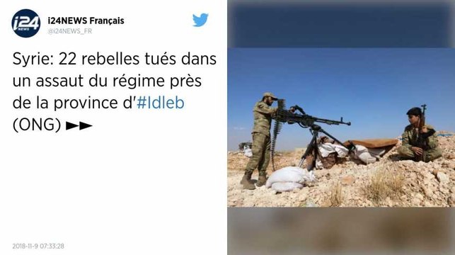 Syrie. 22 rebelles tués par le régime dans le nord-ouest du pays.