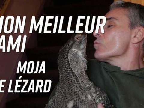 Insolite : un varan à la maison