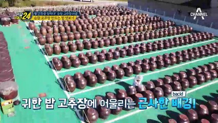 순창 고추장 명인이 알려주는 맛있는 고추장 감별법은?