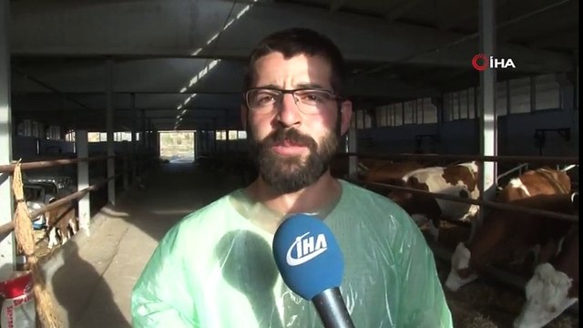 Kurduğu Çiftlikte İthal Ettiği Hayvanlarla Yıllık 260 Ton Süt Üretiyor