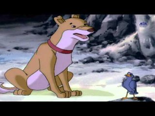 Episode 26 – Nemor El Abiad  Series |  الحلقة السادسة و العشرون - مسلسل نمور الابيض