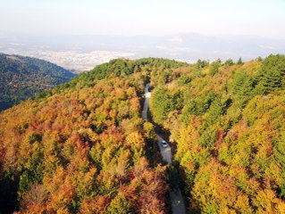 Şehrin İçinde Çağlayan Güzellik
